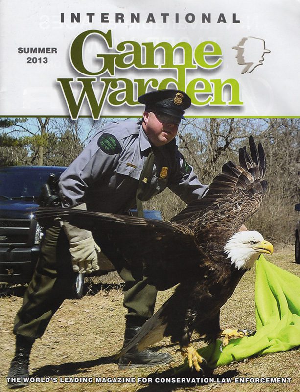Photo of game warden releasing eagle