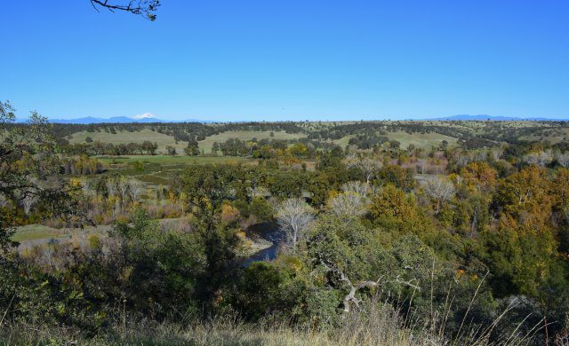 Battle Creek Wildlife Area from upper trail, southeast of County Line Bridge