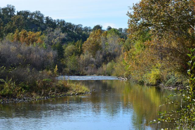 Lower Battle Creek from riparian trail, Battle Creek Wildlife Area