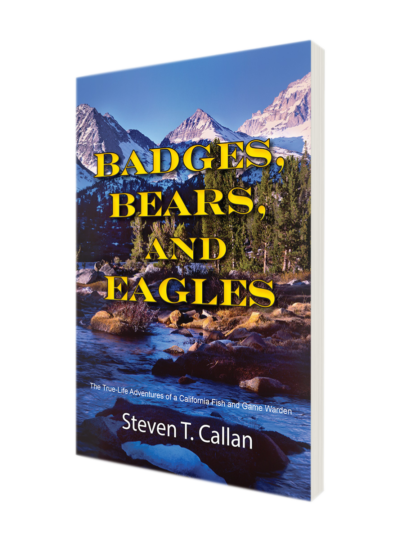 badges_bears_slanted