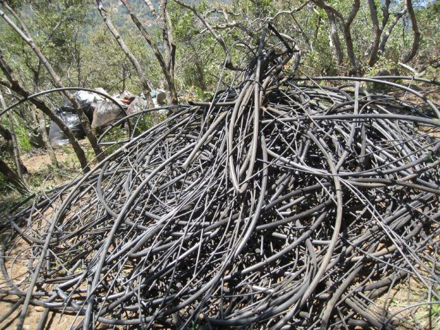 Irrigation tubing and litter removed from an illegal marijuana grow site, as photographed by California Department of Fish and Wildlife Captain Patrick Foy