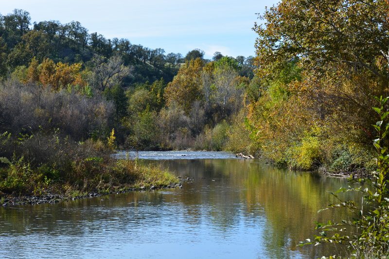 Lower Battle Creek as it would appear during the fall salmon run. Photo by Author Steven T. Callan.