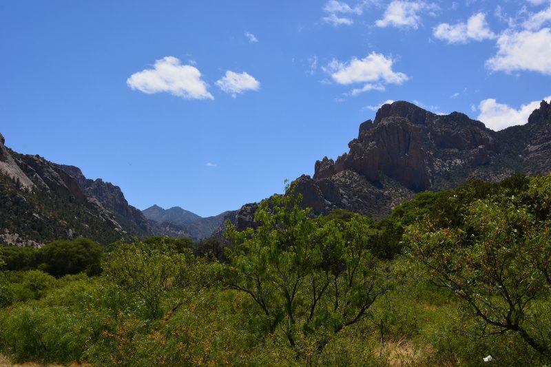 Entrance to Cave Creek Canyon and the Chiricahua Mountains. All photos by Steven T. Callan.