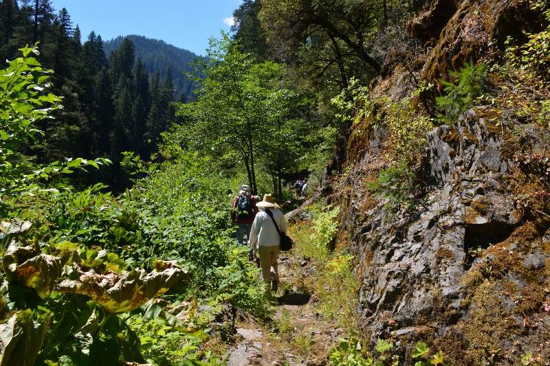 Kathy joins other hikers from the Shasta Land Trust on the banks of the McCloud River. The McCloud River Preserve, operated by the Nature Conservancy, offers miles of hiking trails. Photo by author Steven T. Callan.
