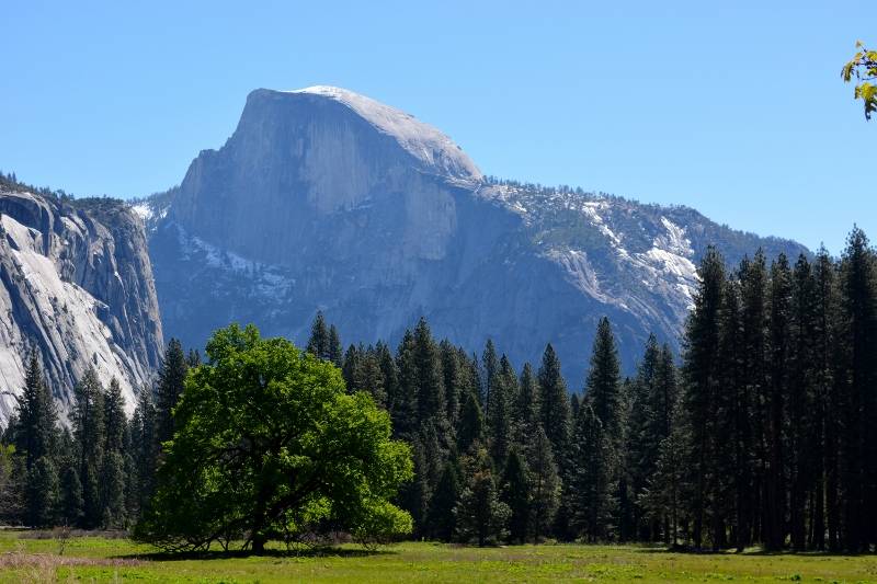 Made of solid granite, Half Dome lies at the eastern end of Yosemite Valley, in Yosemite National Park. Photo by Steven T. Callan.