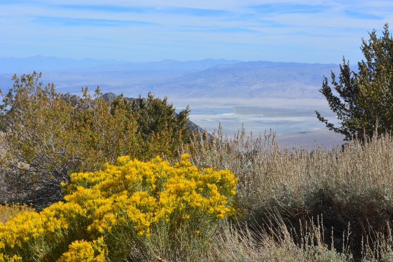 The view of the Owens Valley from Horseshoe Meadows Road. Photo by Steven T Callan.