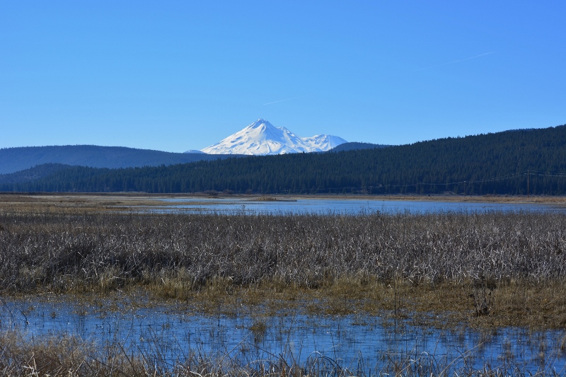 Mount Shasta can be seen in this view of the Butte Valley Wildlife Area.
