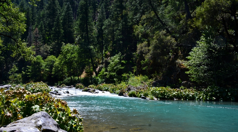 One of the crown jewels of Siskiyou County is the world-famous McCloud River.