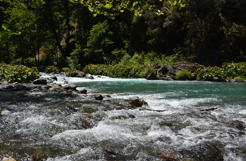 The McCloud River is a fly-fisherman's paradise.