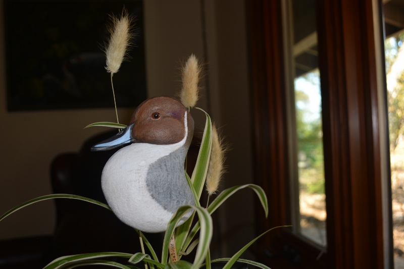 Author Steven T. Callan won this pickleweed decoy by Roger Anderson at 2022 Pacific Flyway Decoy Association Wildfowl Art Festival