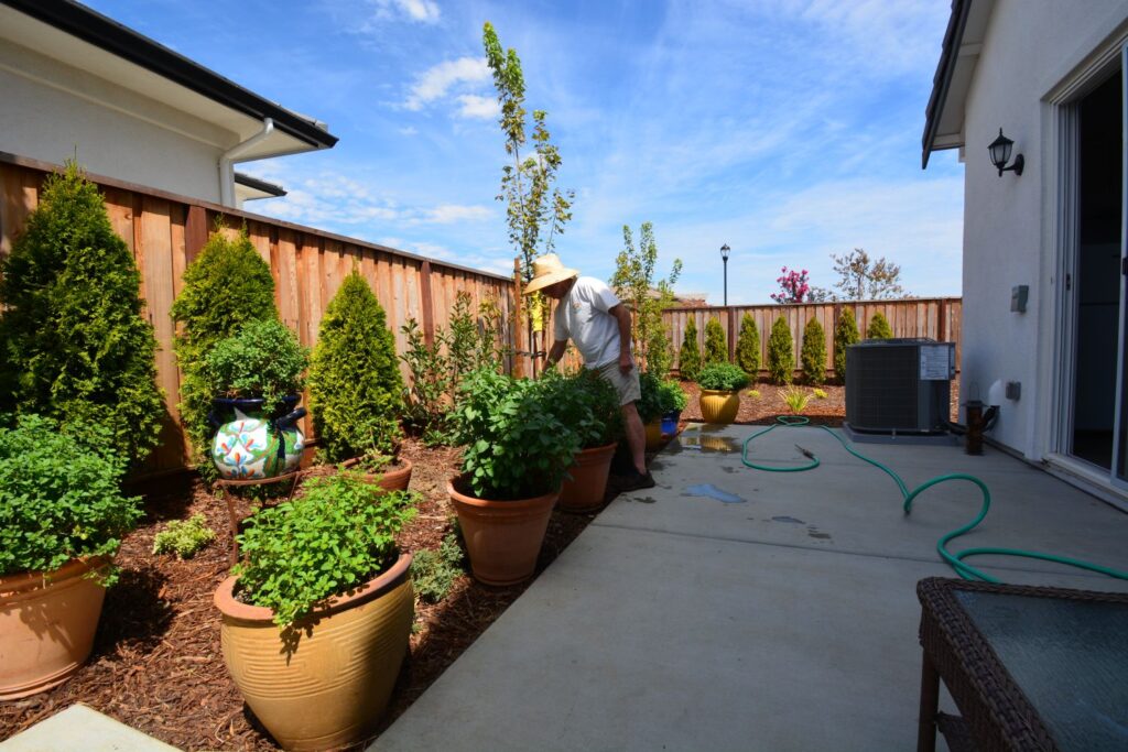 Author Steven T. Callan tends to his pollinator plants in their new location.